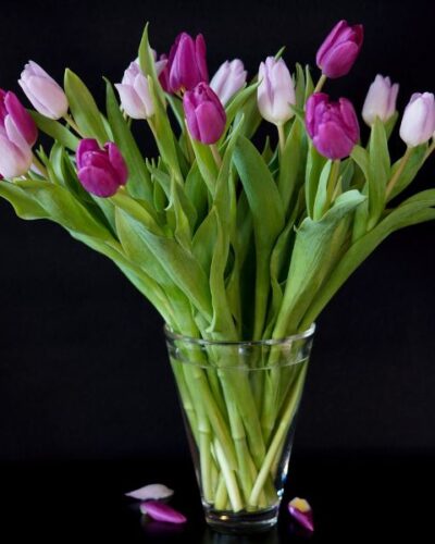 flower shop abu dhabi