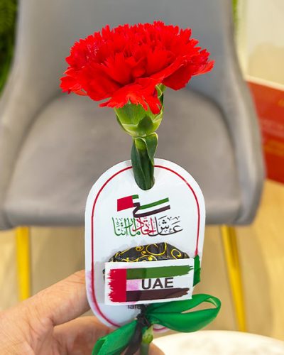 single rose with printed